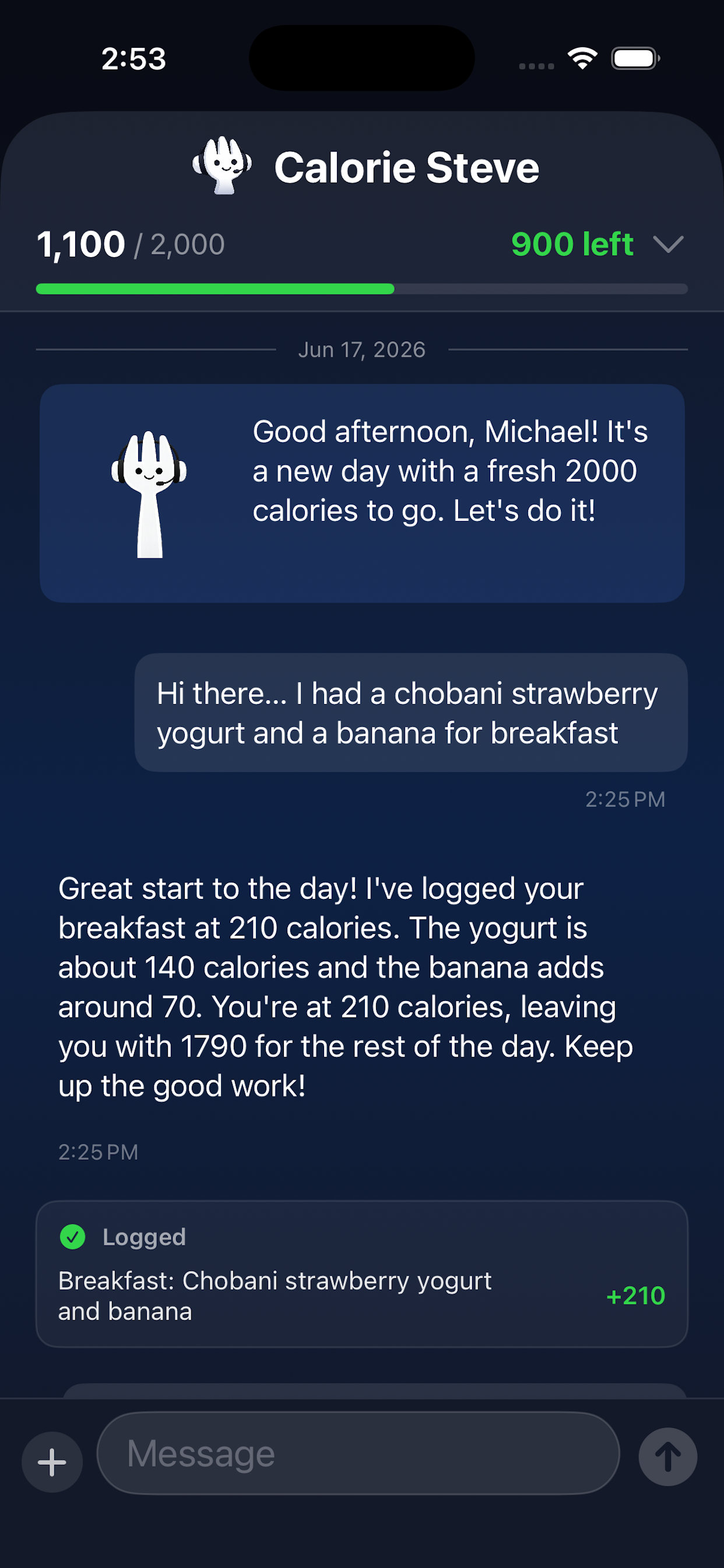 Chat with Calorie Steve view